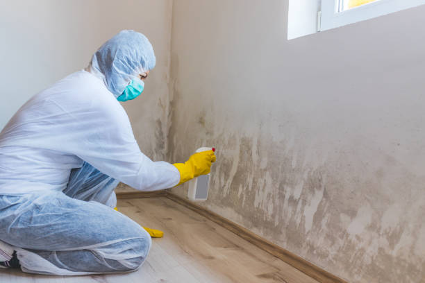Licensed Crawl Space Mold Remediation service in Tomball, TX - Car Mold Remediation