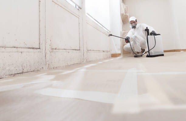 24/7 Emergency Crawl Space Mold Remediation experts in Tomball, TX