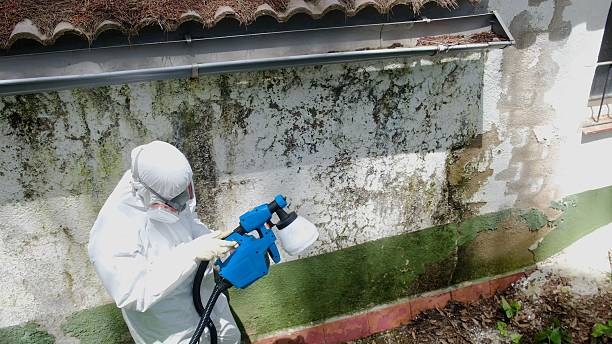 Top rated local Crawl Space Mold Remediation specialists in Tomball, TX